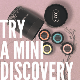 Mini Whipped Body Butter Discovery Set